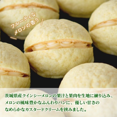 自慢の逸品!! 究極のメロンパン 10個入×1箱