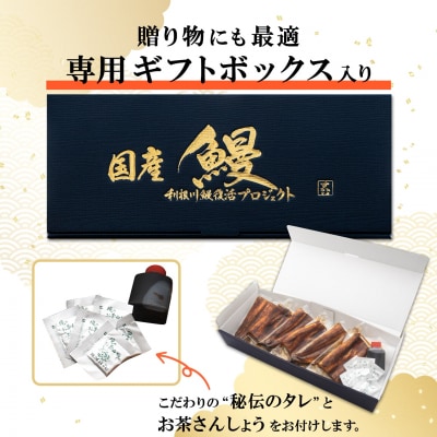 【国産うなぎ】 半身カット 6パック(3尾分/合計400g以上) タレ 山椒付