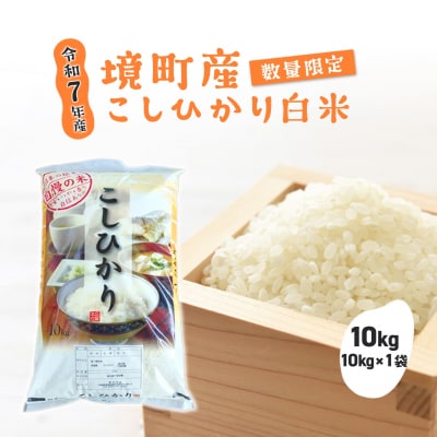 【令和7年産】 境町 白米 「コシヒカリ」 10kg(10kg×1袋) 数量限定