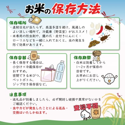 【令和7年産】 境町 白米 「コシヒカリ」 10kg(10kg×1袋) 数量限定
