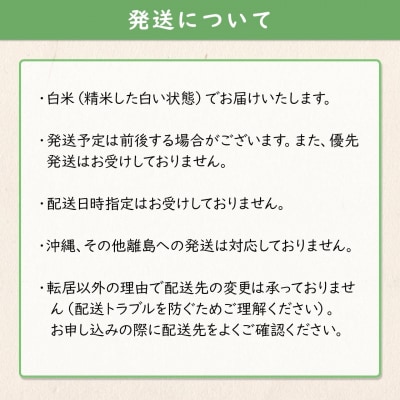 【令和7年産】 境町 白米 「コシヒカリ」 10kg(10kg×1袋) 数量限定