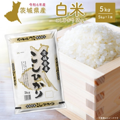 【令和6年産/白米】 〈令和8年1月内発送〉  コシヒカリ 5kg 茨城県産