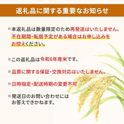 【令和6年産/白米】 〈令和8年1月内発送〉  コシヒカリ 5kg 茨城県産