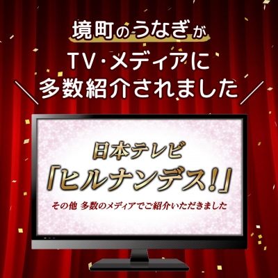 【最短翌日発送】 国産 特上うなぎ 蒲焼き 1尾 200g以上 簡易袋 タレ 山椒付き K2671