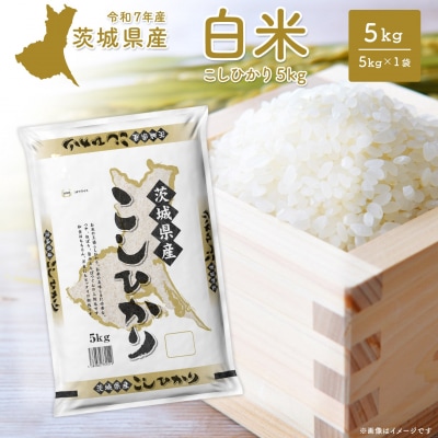 【令和7年産/白米】 〈令和8年1月内発送〉こしひかり 5kg 茨城県産 米 小分け 2025年産