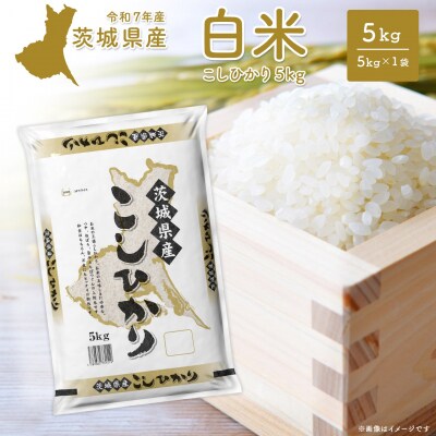 こしひかり 5kg〈令和8年3月内発送〉【令和7年産/白米】 茨城県産 米 小分け コシヒカリ