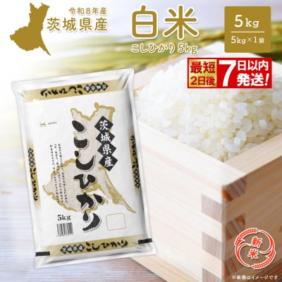 ◎新米◎ コシヒカリ 5kg 米 小分け 茨城県産 2026年産 【最短2日後発送】K2670