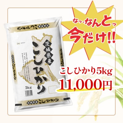 【令和7年産/白米】 〈令和8年1月内発送〉こしひかり 5kg 茨城県産 米 小分け 2025年産