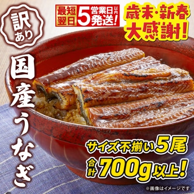 〈最短翌日発送〉 【訳あり】国産 うなぎ 蒲焼き 5尾 700g以上! ※サイズ不揃い