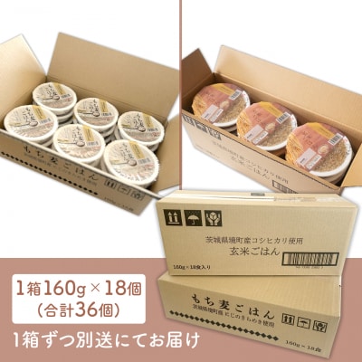 【最短翌日発送】茨城県境町産米使用 パックごはん 玄米・もち麦 各160g×18個 計36個 健康