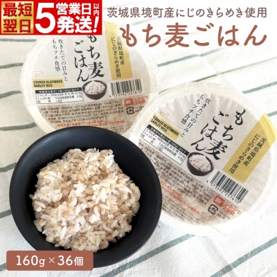 【最短翌日発送】茨城県境町産 にじのきらめき 使用 もち麦ごはん 160g×36個