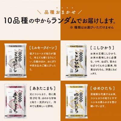 【定期便】お米2種食べ比べ 10kg×3回 精米 白米 (2月初回発送) 令和7年産