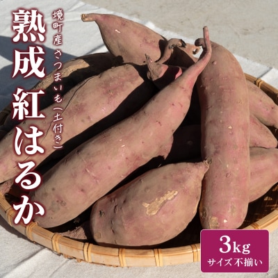 【数量限定】境町産 さつまいも 熟成紅はるか 小さめサイズ (SS～S) 約3kg 土付き 不揃い
