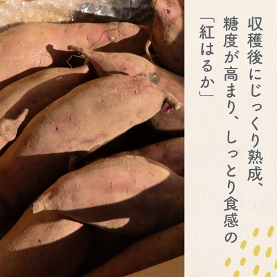 【数量限定】境町産 さつまいも 熟成紅はるか 小さめサイズ (SS～S) 約3kg 土付き 不揃い