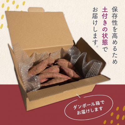 【数量限定】境町産 さつまいも 熟成紅はるか 小さめサイズ (SS～S) 約3kg 土付き 不揃い