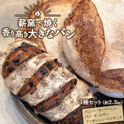 【薪窯焼き】香り高い大きなパン 3種セット (カンパーニュ・レザン・ブリオッシュ) ハード系パン