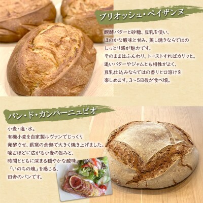 【薪窯焼き】香り高い大きなパン 3種セット (カンパーニュ・レザン・ブリオッシュ) ハード系パン