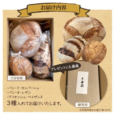 【薪窯焼き】香り高い大きなパン 3種セット (カンパーニュ・レザン・ブリオッシュ) ハード系パン