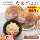 【最短翌日発送】訳あり!! 茨城県境町産 コシヒカリ使用 玄米ごはん 160g×36個 パックごはん