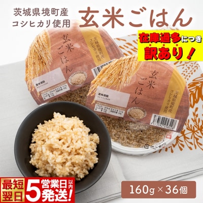 【最短翌日発送】訳あり!! 茨城県境町産 コシヒカリ使用 玄米ごはん 160g×36個 パックごはん