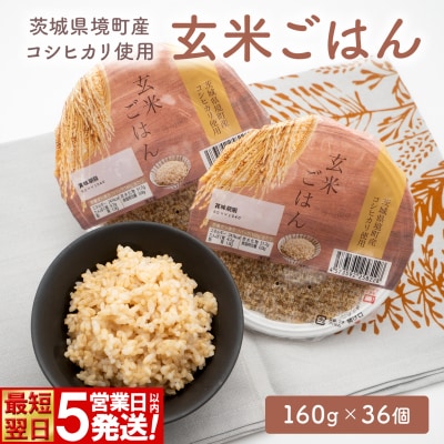 【最短翌日発送】訳あり!! 茨城県境町産 コシヒカリ使用 玄米ごはん 160g×36個 パックごはん