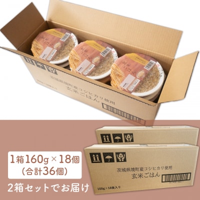 【最短翌日発送】訳あり!! 茨城県境町産 コシヒカリ使用 玄米ごはん 160g×36個 パックごはん