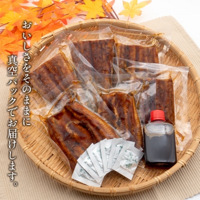 【さとふる限定】国産〈特上〉うなぎ蒲焼 2尾 計6カット済み 小分け 贈答 ギフト 土用の丑の日 鰻