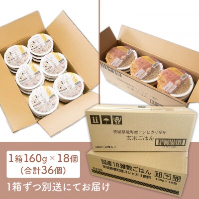 【最短翌日発送】茨城県境町産米使用 パックごはん 玄米・十八雑穀 各160g×18個 計36個 健康