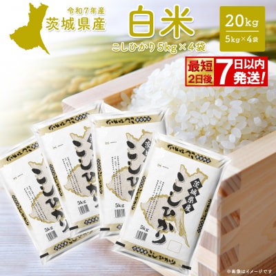 こしひかり 20kg (5kg×4袋) 最短2日後発送【令和7年産/白米】茨城県産 米 小分け