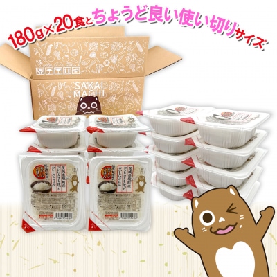 ◎最短翌日発送◎  パックごはん 訳あり!! 180g×20食 茨城県境町産 コシヒカリ 米 国産
