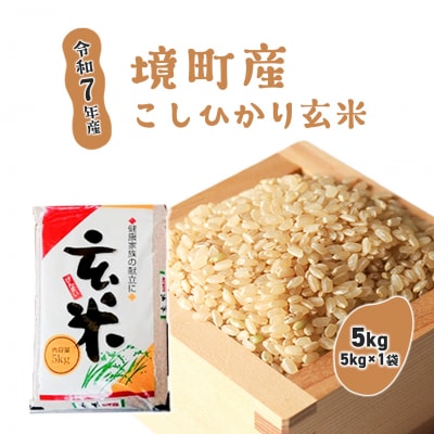 【令和7年産】米 玄米 コシヒカリ 5kg(5kg×1袋) 国産 ご飯 茨城県 境町産