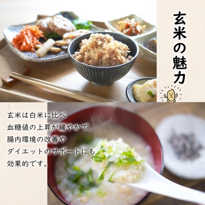 【令和7年産】米 玄米 コシヒカリ 5kg(5kg×1袋) 国産 ご飯 茨城県 境町産