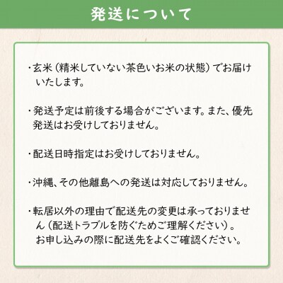米 玄米 コシヒカリ 5kg 令和8年産 国産 お米 茨城県 境町産 こしひかり