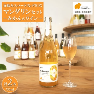 【訳あり】ワイン スパークリングワイン マンダリン2本セット 750ml 辛口 ギフト 酒
