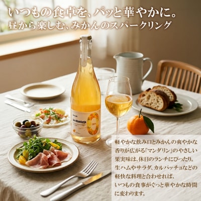 【訳あり】ワイン スパークリングワイン マンダリン2本セット 750ml 辛口 ギフト 酒