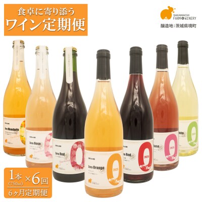 【6ヶ月定期便/毎月お届け】デイリーワイン 750ml×1本 赤 白 ロゼ スパークリング ギフト