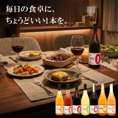 【6ヶ月定期便/毎月お届け】デイリーワイン 750ml×1本 赤 白 ロゼ スパークリング ギフト