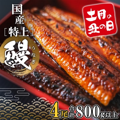 【丑の日までにお届け】 特上うなぎ 蒲焼 4尾 800g以上 国産 鰻 丑の日 うなぎ蒲焼き 魚