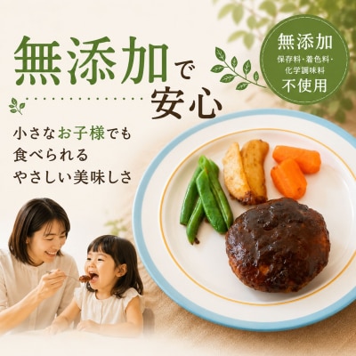 【茨城県共通返礼品】 ◎無添加◎ 4種のハンバーグ 食べ比べ ローズポーク使用 詰合せ 国産 10個