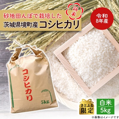 【さとふる限定】令和8年産 / 白米 《50個限定》　令和8年産 茨城県 境町産 コシヒカリ 5kg