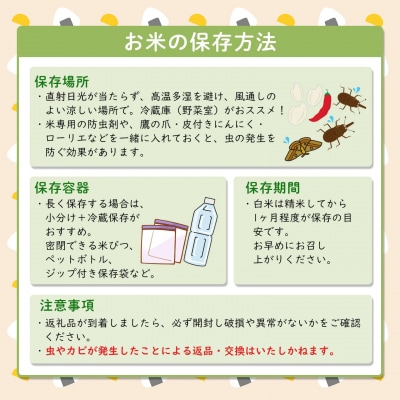 【さとふる限定】令和8年産 / 白米 《50個限定》　令和8年産 茨城県 境町産 コシヒカリ 5kg
