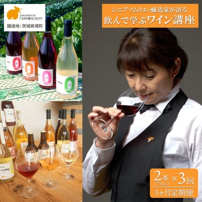 【3ヶ月定期便】オンラインワイン講座 ワイン6本付き 赤 白 ギフト 飲み比べ 酒 お酒 Zoom