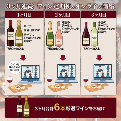 【3ヶ月定期便】オンラインワイン講座 ワイン6本付き 赤 白 ギフト 飲み比べ 酒 お酒 Zoom