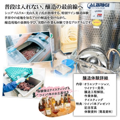ワイン醸造体験 1名様利用券 ワイン1本付き ワイナリー見学 試飲 赤 白 ギフト 酒 お酒 ツアー
