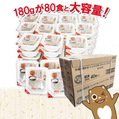 最短翌日発送 訳あり パックごはん 180g×80食(40食×2箱)  コシヒカリ 米 国産