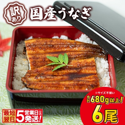 〈最短翌日発送〉 【訳あり】国産 うなぎ 蒲焼き 6尾 680g以上! ※サイズ不揃い