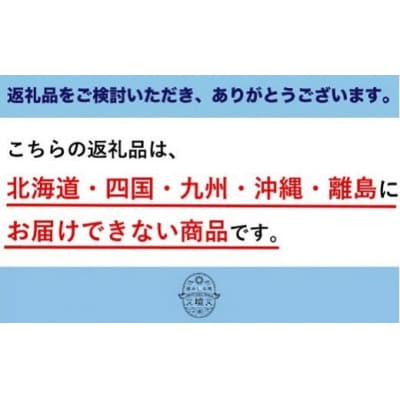 さかいの新高梨5kg (限定30箱)