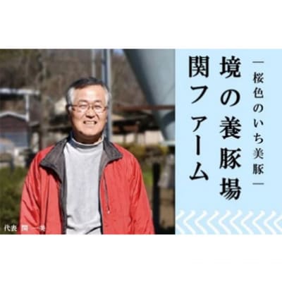 小分けされて便利!茨城県産豚肉詰合せ2種1.2キロ!(200g×6パック)