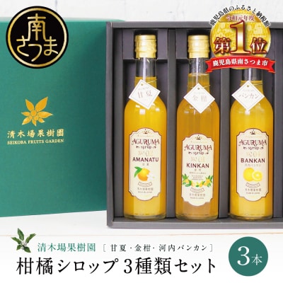 柑橘シロップ 3本セット＜金柑・甘夏・河内バンカン＞