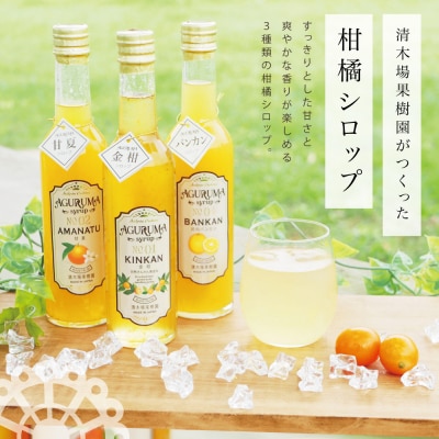 柑橘シロップ 3本セット＜金柑・甘夏・河内バンカン＞